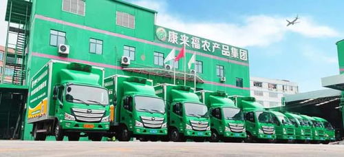 凌晨出發，康來福將新鮮的云南韭菜送上廣州食堂餐桌